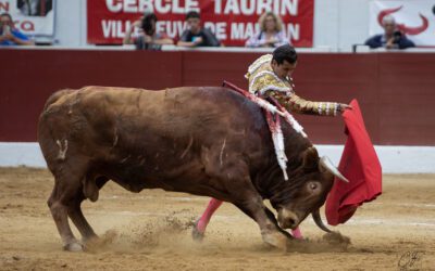 AIRE-SUR-ADOUR (15.06.2025) – La seule ovation pour CARLOS OLSINA face à de décevants Pedraza de Yeltes…