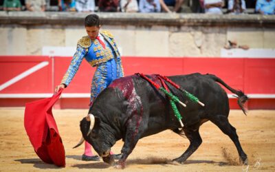 NÎMES (07.06.2025, matin) – VICTOR coupe trois oreilles et ouvre la Porte des Consuls !