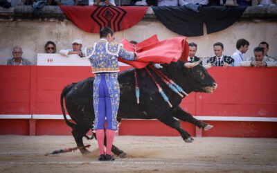 NÎMES (07.06.2025, matin) – JOSE MARIA MANZANARES ouvre la Porte des Consuls !