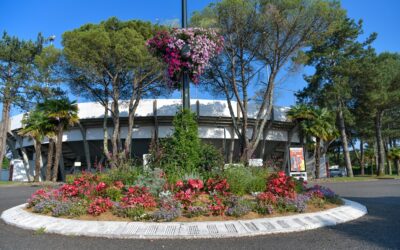 HAGETMAU – Les cartels officiels de la Feria du novillo 2025 !