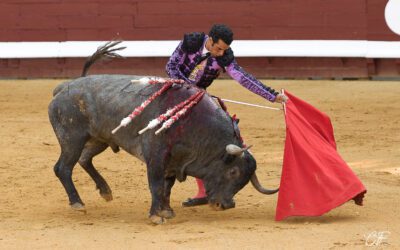 DAX (14.08.2025) – MORENITO DE ARANDA coupe une oreille de poids !