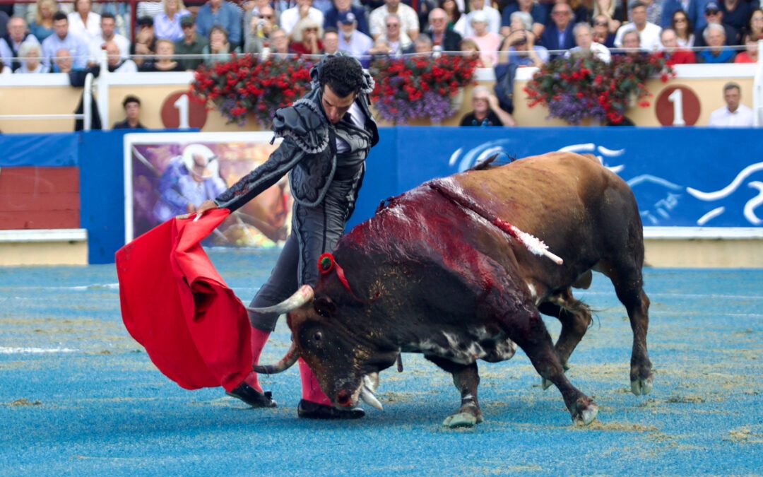 BAYONNE (29.08.2025) – MORENITO DE ARANDA perd la grande porte …