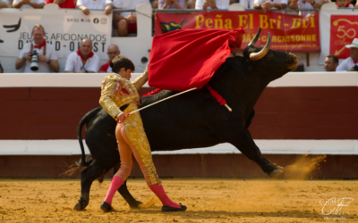 DAX (16.08.2025) – Sans épée, pas de paradis !