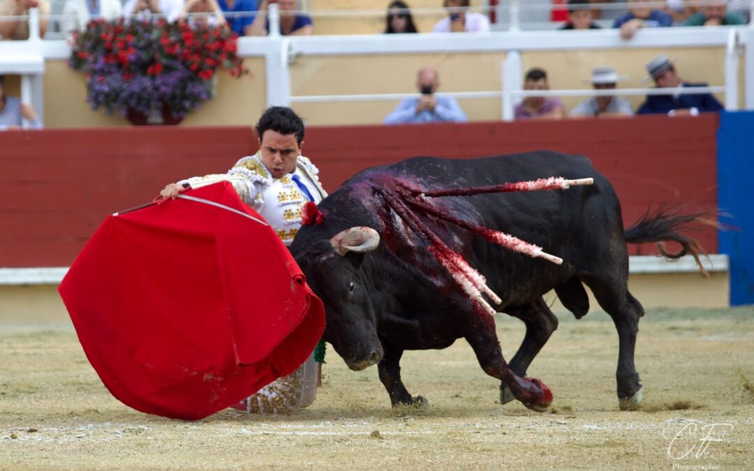 BAYONNE (30.08.2025) – JUAN DE CASTILLA et JOSÉ FERNANDO MOLINA à l’infirmerie… Des oreilles perdues à l’épée …