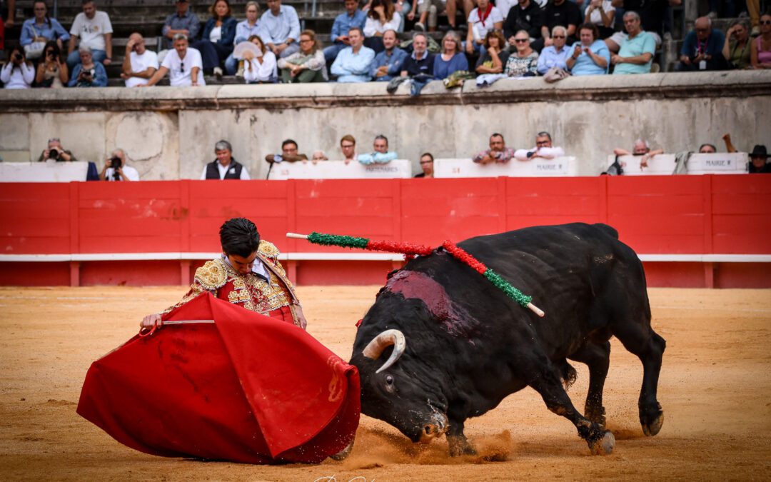 MARCO PEREZ : Fin d’une première temporada européenne triomphale …