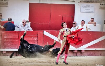 “Je cherche le soleil au milieu de la nuit”… Edito sous forme de cri du coeur par Francis Andreu.