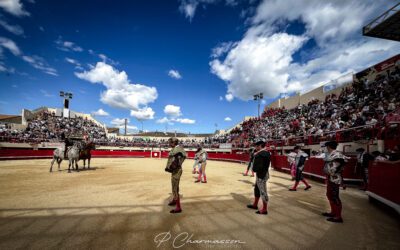 MAUGUIO – La date et les ganadérias de la novillada de la Romería sont connues …