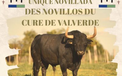 BEAUCAIRE – Une novillada du Curé de Valverde au menu de la Temporada 2026 de l’Aficion Taurine Beaucairoise !