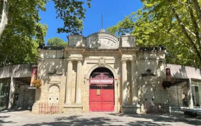 BEAUCAIRE – Une corrida mixte bientôt annoncée !