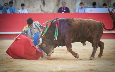 NÎMES – Un Pagès-Mailhan parmi les six toros du solo de Marco Perez !