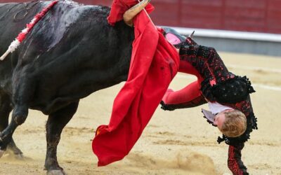 CLÉMENTE sérieusement blessé à Madrid !