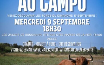 ARLES – Moment au campo chez Pagès-Mailhan avant la Feria du Riz